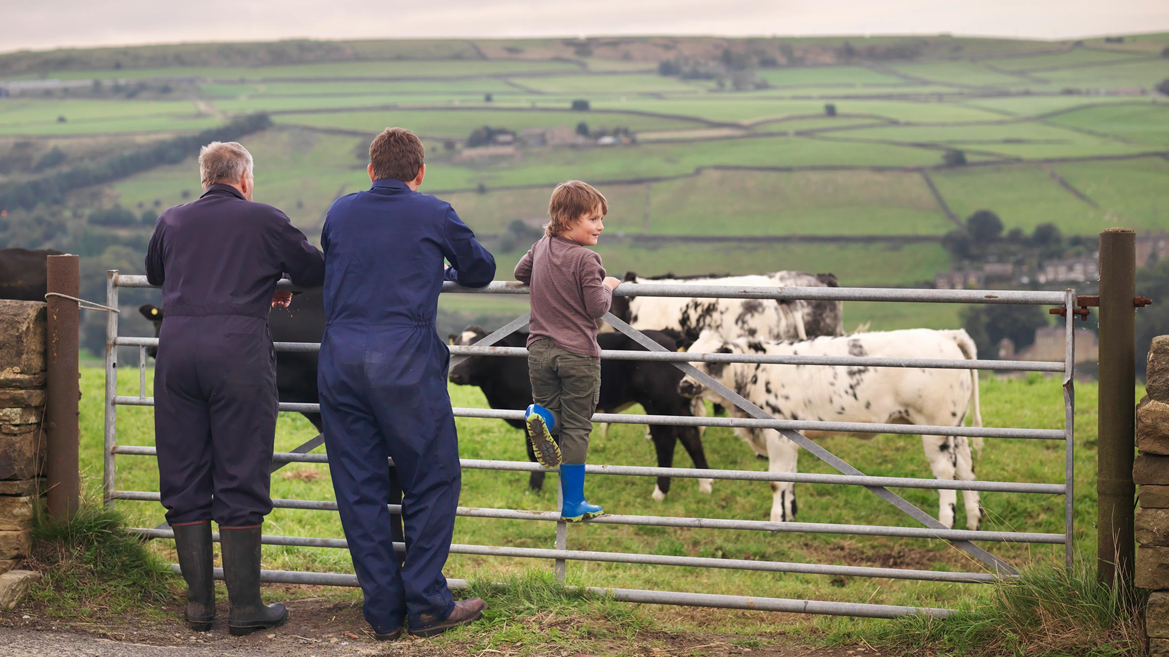 Succession planning and retirement for farmers and ranchers key image