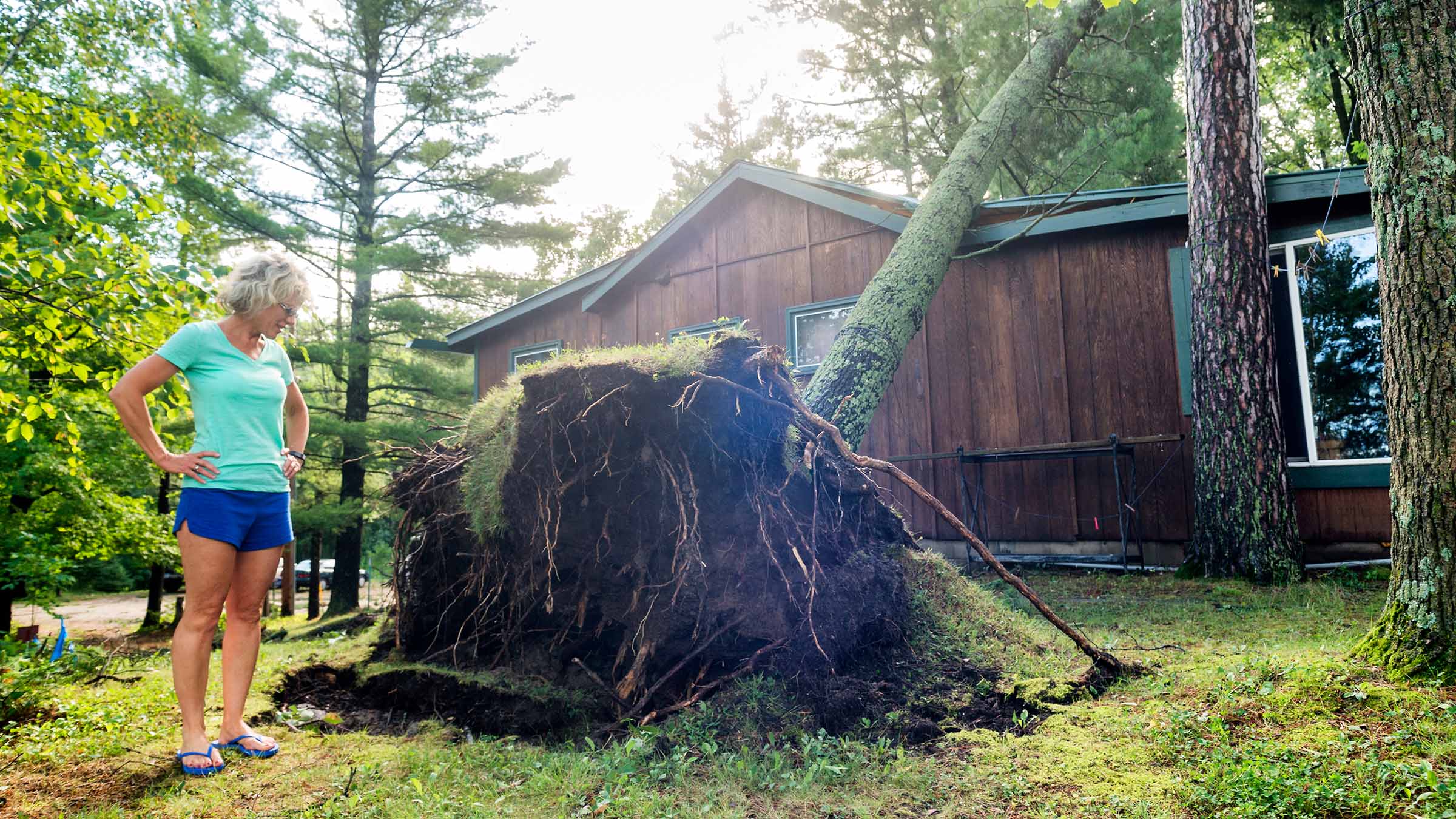 Woman inspecting uprooted tree laying across roof of damaged home