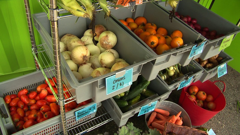 CityKid Farm produce, one-column image