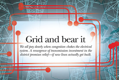 Image: Grid and bear it